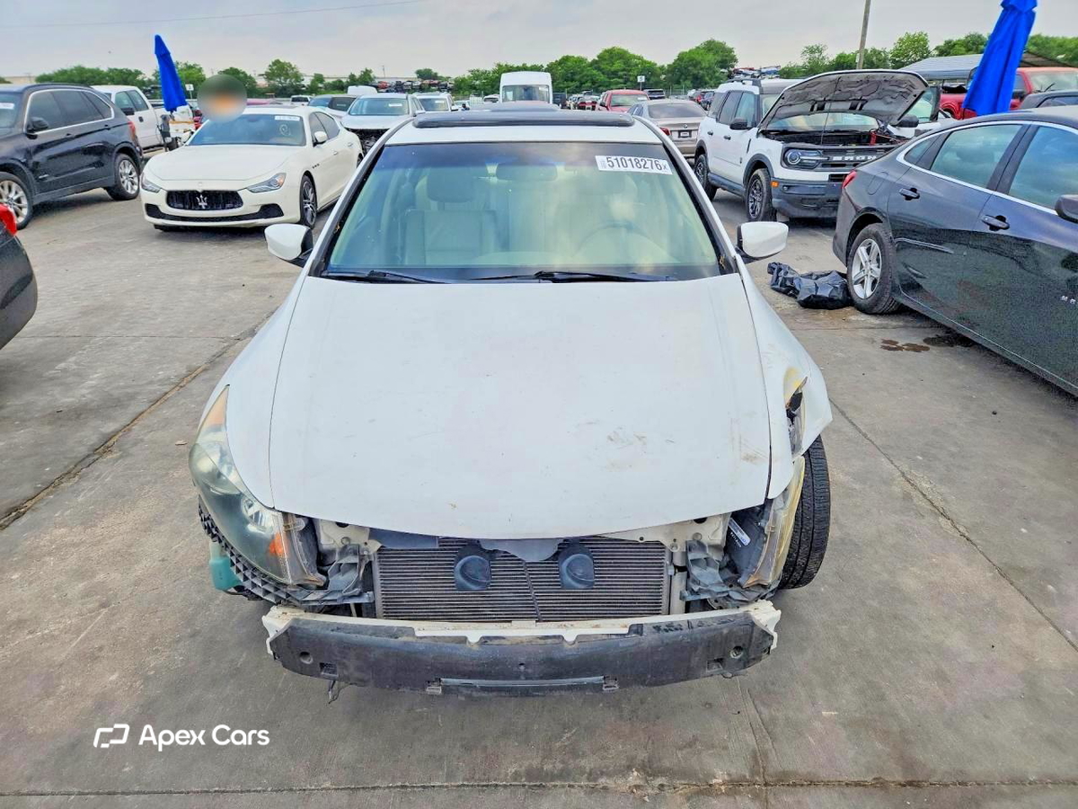 Honda Accord 2010