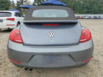 Volkswagen Beetle 2013