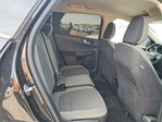 Ford Escape 2020