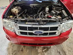 Ford Escape 2012