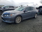 Honda Accord 2013
