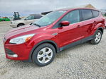 Ford Escape 2015
