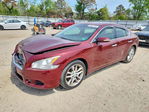 Nissan Maxima 2010