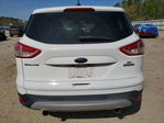 Ford Escape 2013
