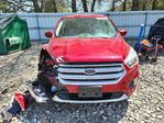 Ford Escape 2019