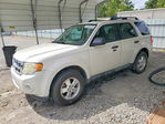 Ford Escape 2011