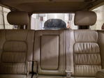 Lexus LX 2000