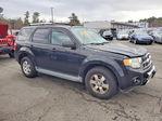 Ford Escape 2011