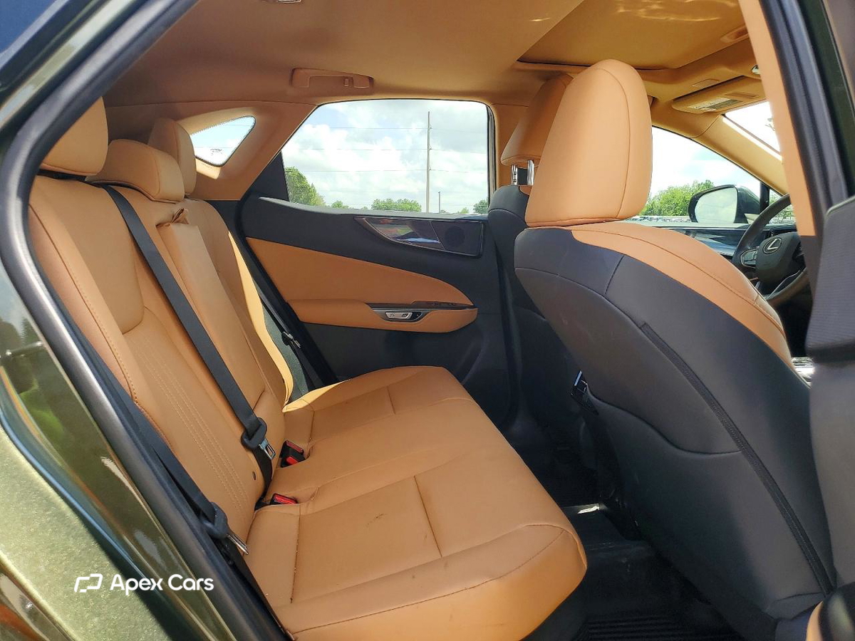 Lexus NX 2024