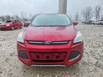 Ford Escape 2013