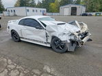 Ford Mustang 2004