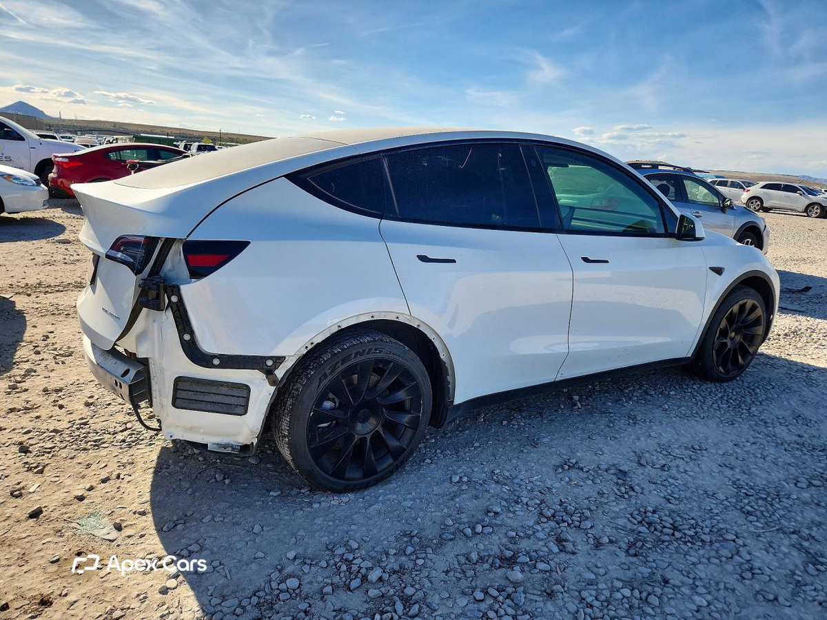 Tesla Model Y 2021