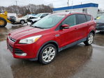 Ford Escape 2015