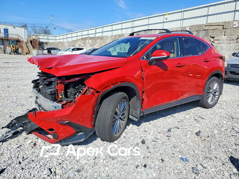 Lexus NX 2025 - Zdjęcie 1 z 14