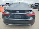 Lexus ES 2019