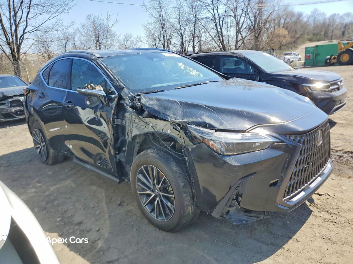 Lexus NX 2025