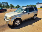 Ford Escape 2012