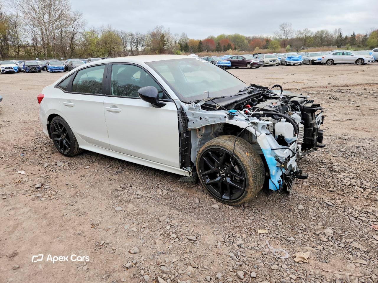 Honda Civic 2024