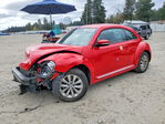 Volkswagen Beetle 2019