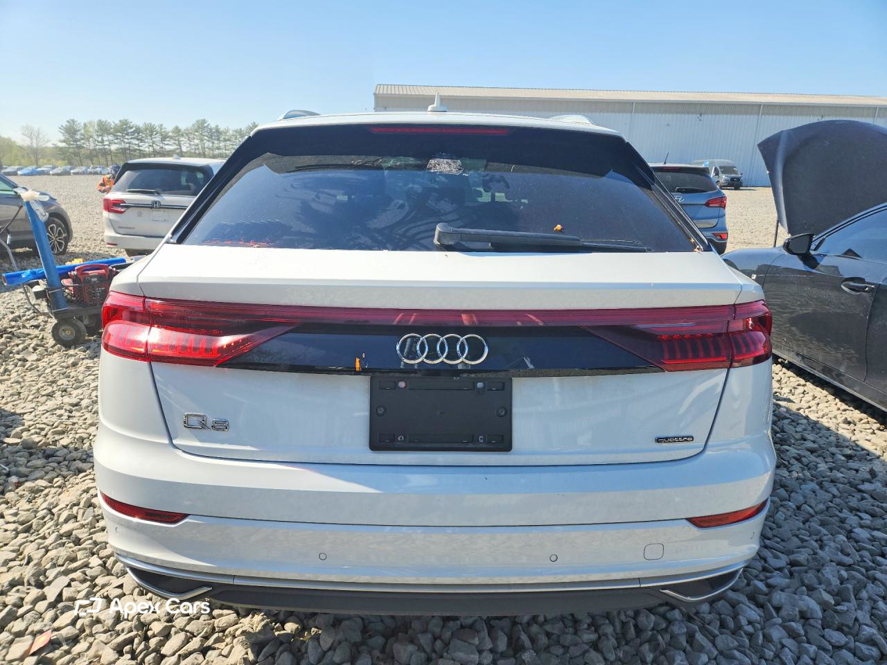 Audi Q8 2019
