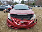 Hyundai Sonata 2011