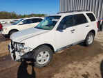 Ford Escape 2010