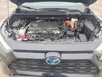 Toyota RAV 4 2024