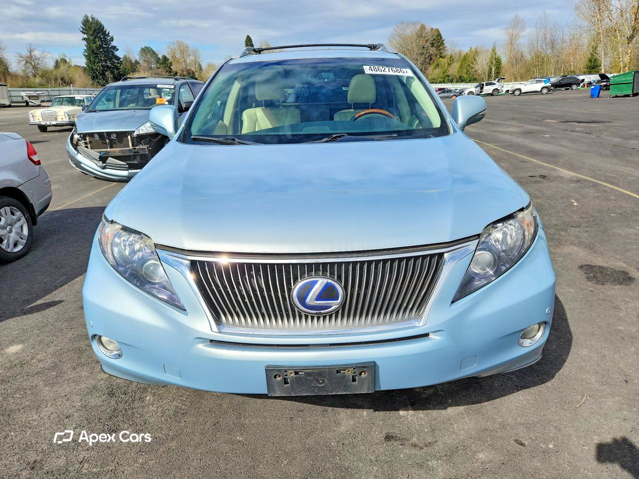 Lexus RX 2010