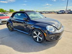 Volkswagen Beetle 2013
