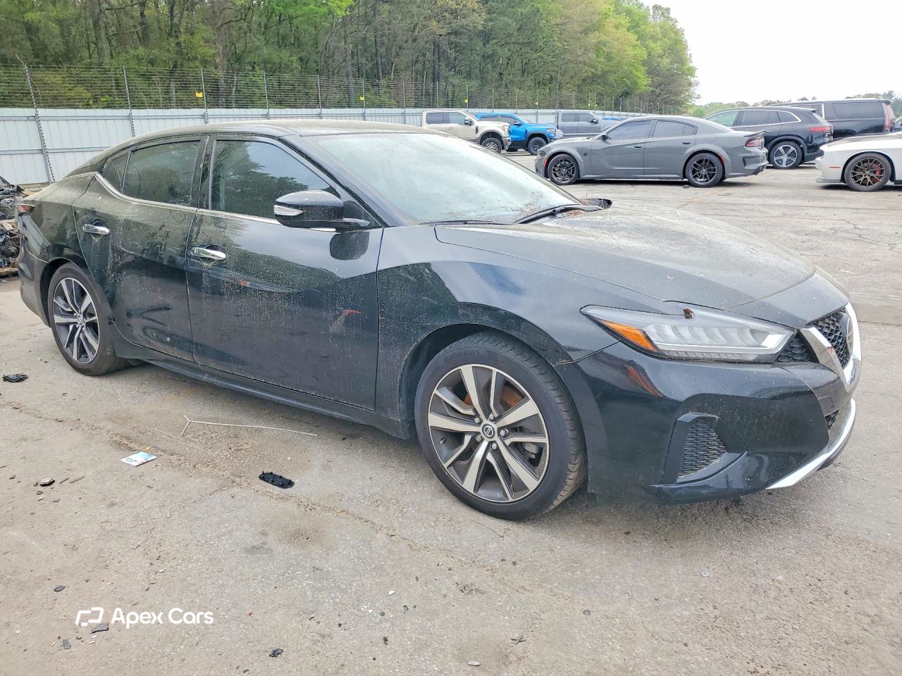 Nissan Maxima 2019