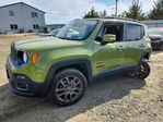 Jeep Renegade 2016
