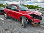 Ford Escape 2020
