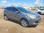 Ford Escape 2014