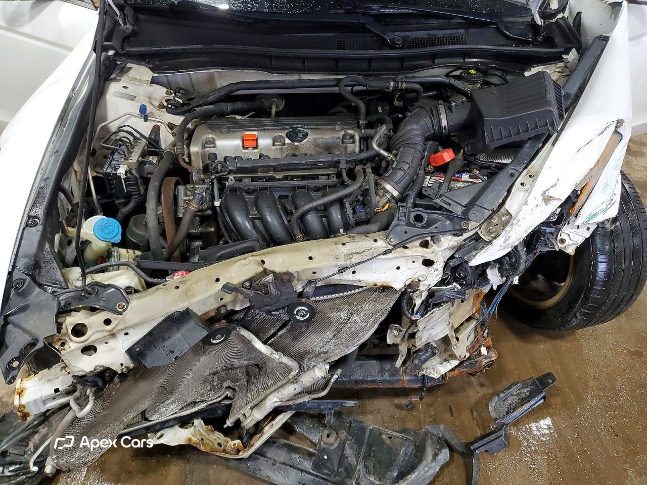 Honda Accord 2010