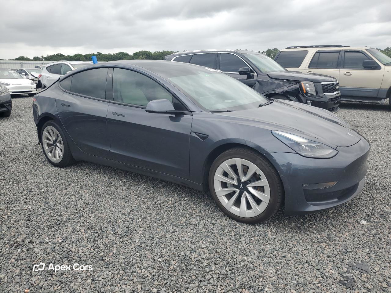 Tesla Model 3 2021