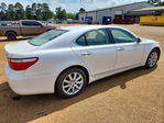 Lexus LS 2008