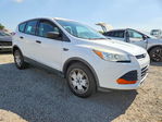Ford Escape 2014