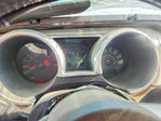 Ford Mustang 2007