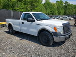 Ford F-150 2013