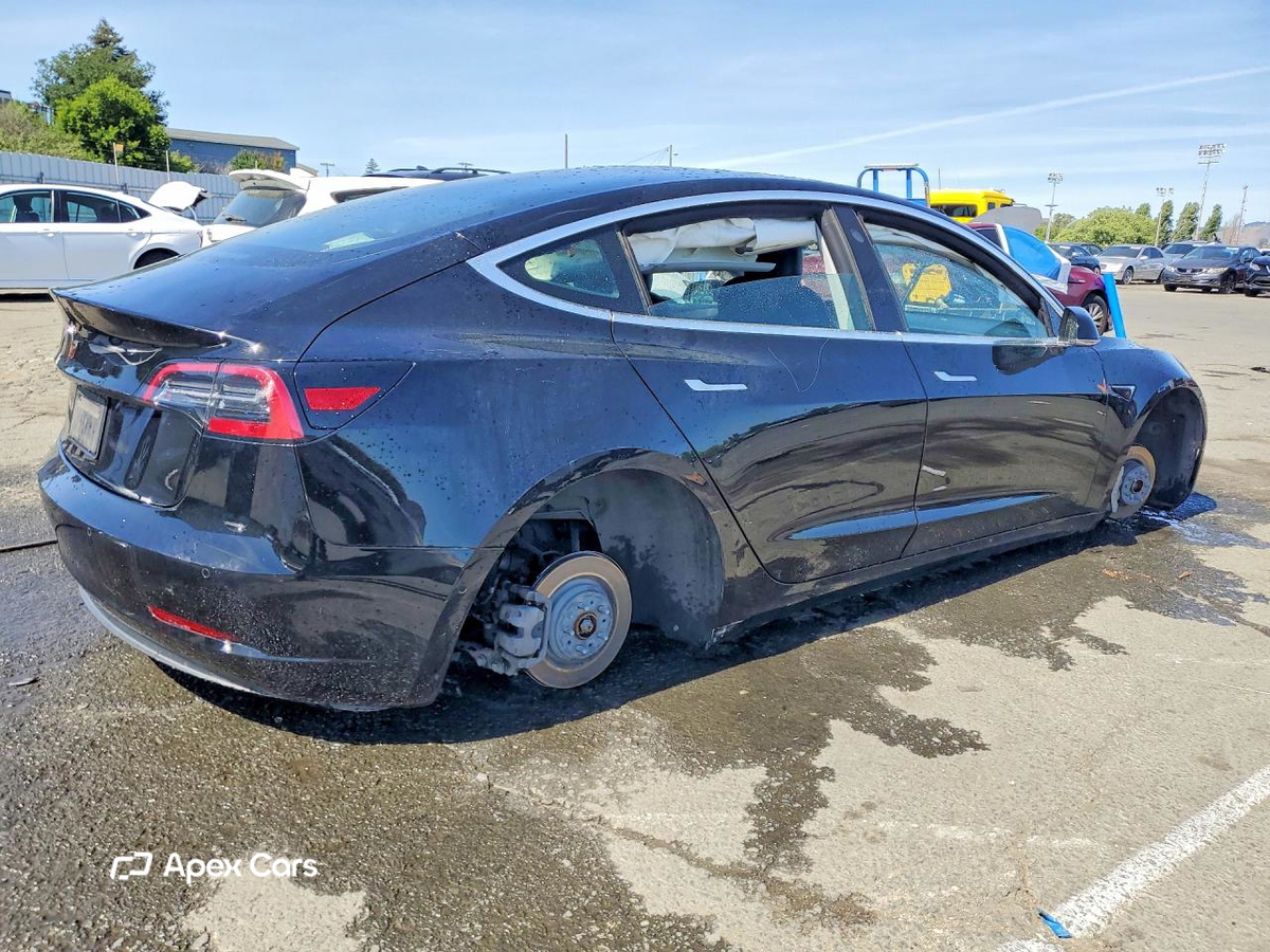 Tesla Model 3 2019