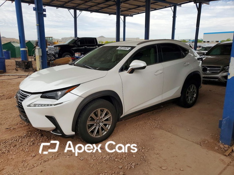 Lexus NX 2018 - Zdjęcie 1 z 13