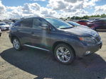 Lexus RX 2010