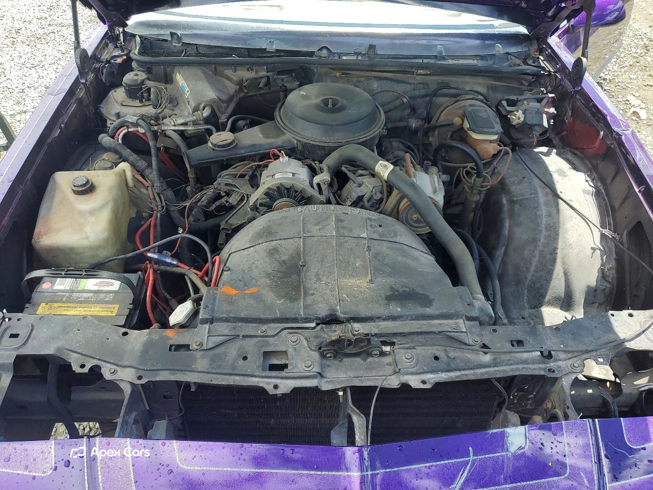 Chevrolet Monte Carlo 1981