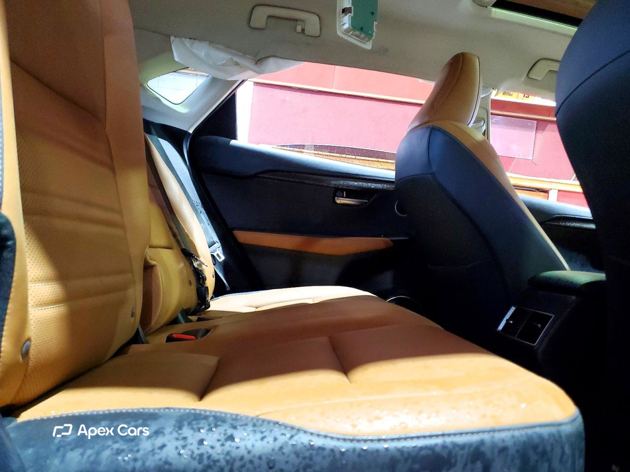 Lexus NX 2020