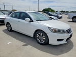 Honda Accord 2013