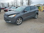 Ford Escape 2015