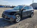 Ford Escape 2016