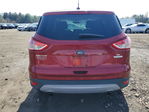 Ford Escape 2014