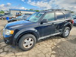 Ford Escape 2012