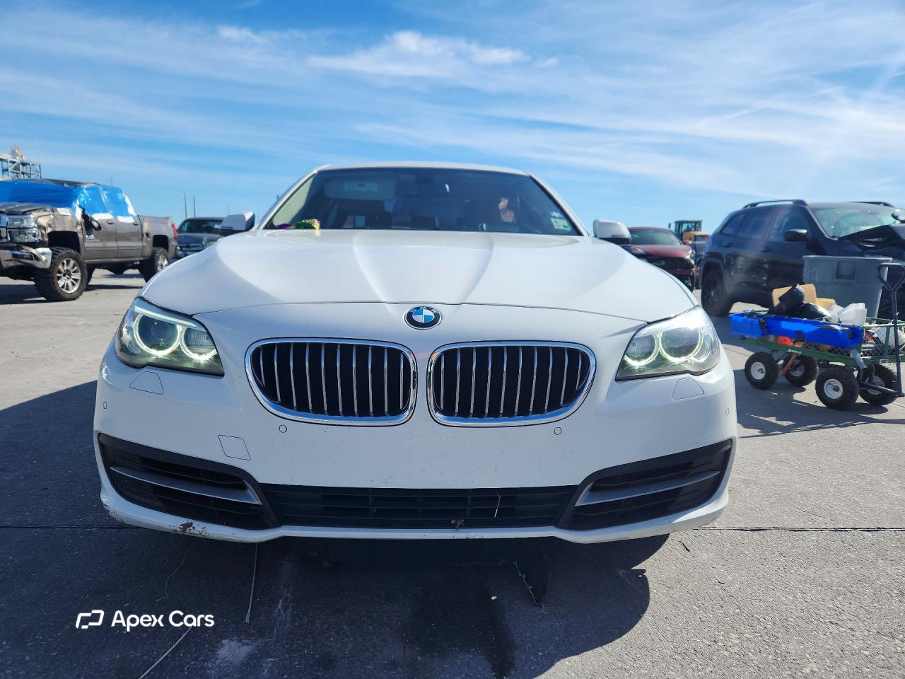BMW Series 5 2014